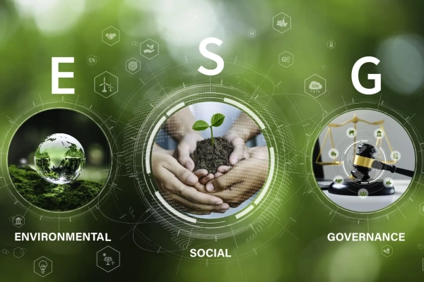 Få professionel hjælp til ESG